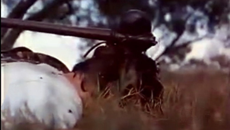 Demon Warrior still 1