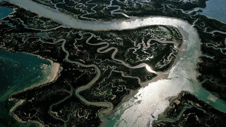 River still 4