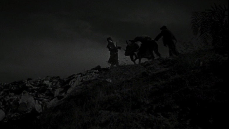 The Young and the Damned still 1