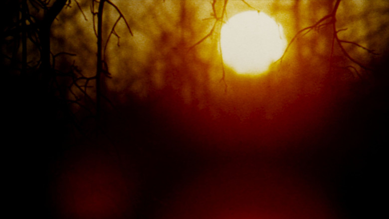 The Legend of Boggy Creek still 6
