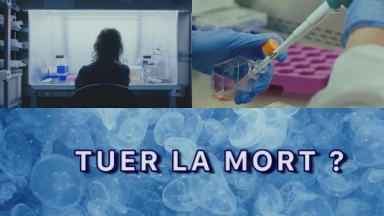 Tuer la mort ? still 4