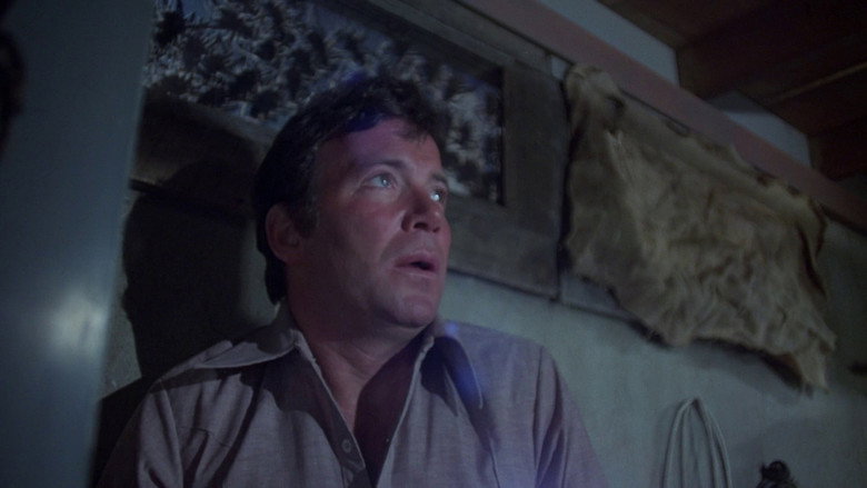 Kingdom of the Spiders still 7