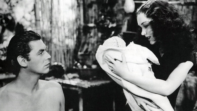 Tarzan's New York Adventure still 8
