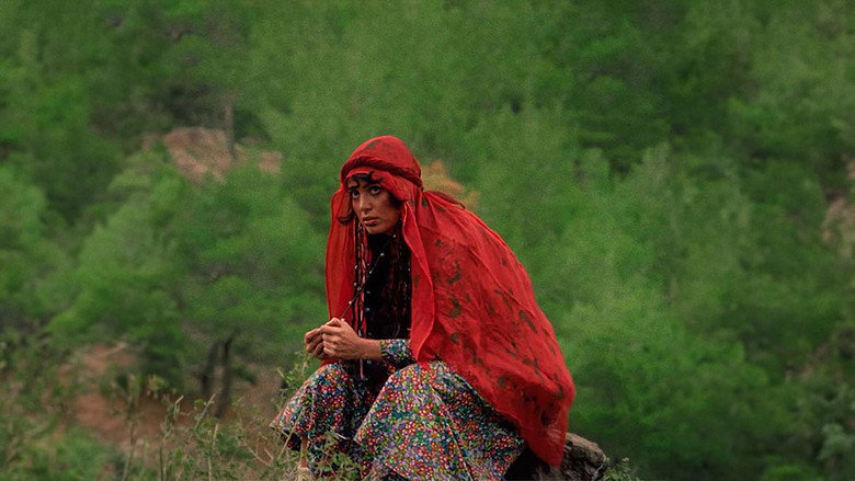 The Girl with the Red Scarf still 3