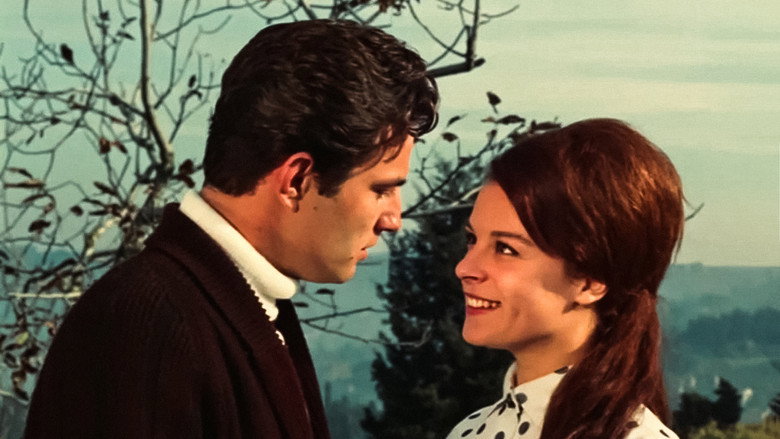 Sigh still 6