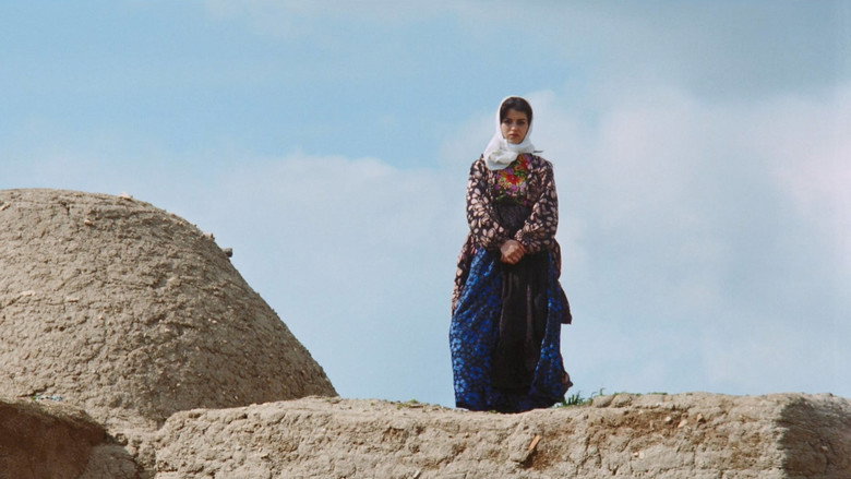 The Road still 6