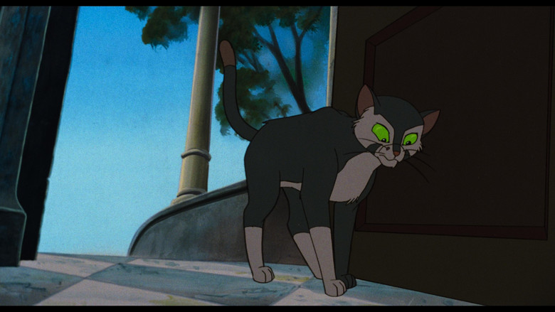 Felidae still 3