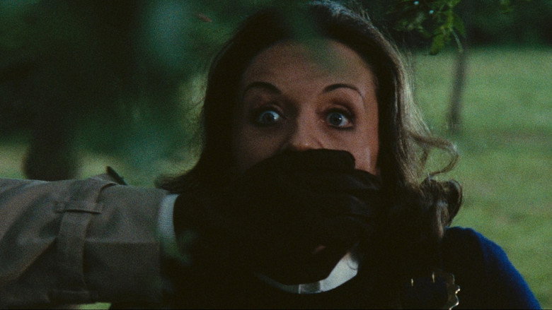 The Bloodstained Butterfly still 3