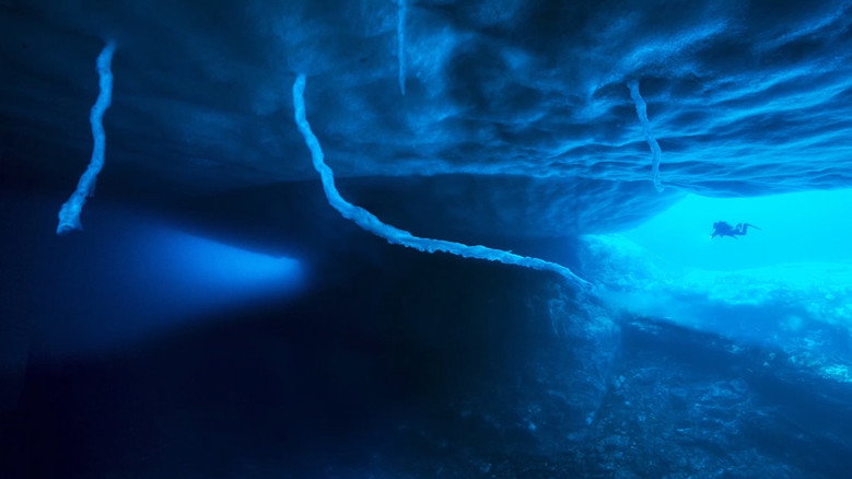 Antarctica, in the footsteps of the Emperor still 1