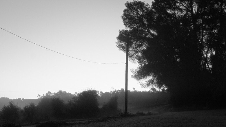Dear Sa Bastida still 2