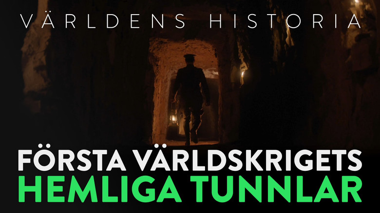 Arras 1917, l'histoire des tunneliers néo-zélandais still 1