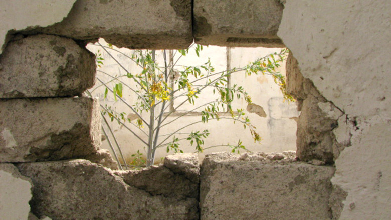 Aranzazú, a memory of ruins still 5