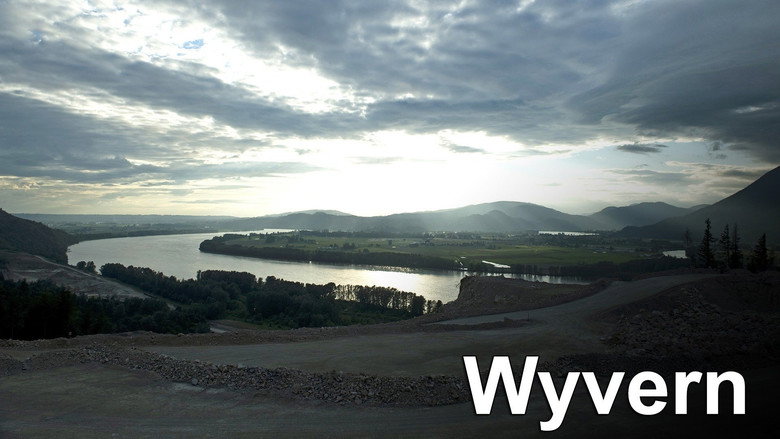 Wyvern still 8