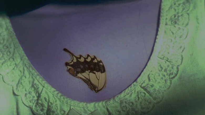 Swallowtail Butterfly still 8