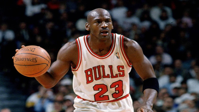 Michael Jordan to the Max still 1