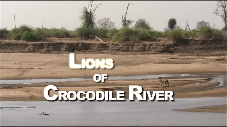Lions of Crocodile River still 3