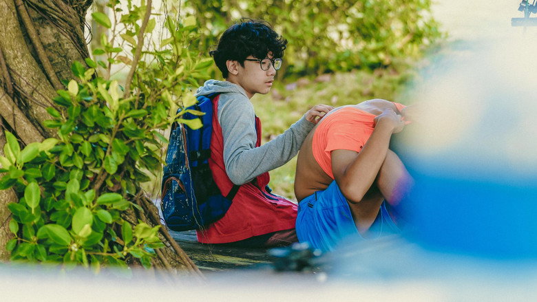Hidden still 7