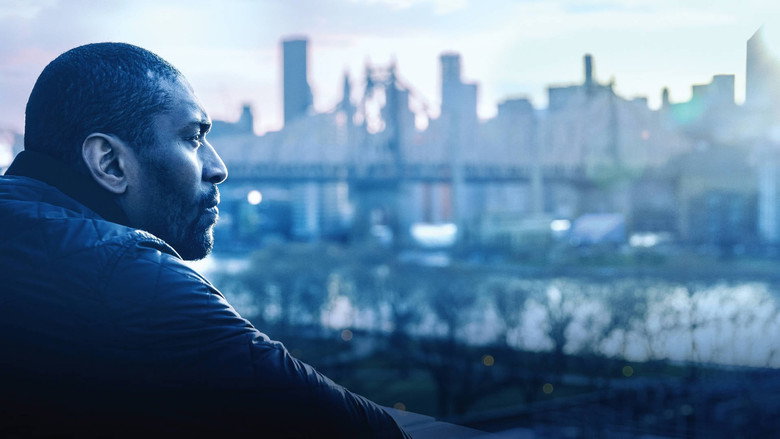 Quiet Storm: The Ron Artest Story still 2