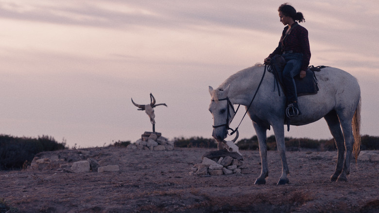 Animale still 1