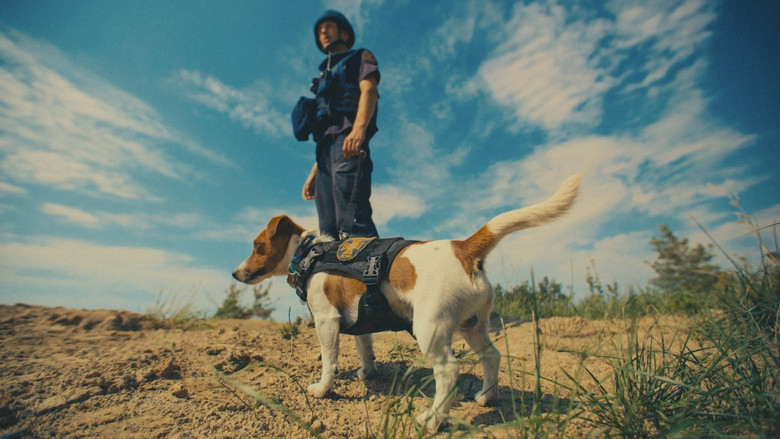 Us, Our Pets and the War still 2