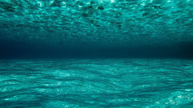 OceanWorld 3D still 2