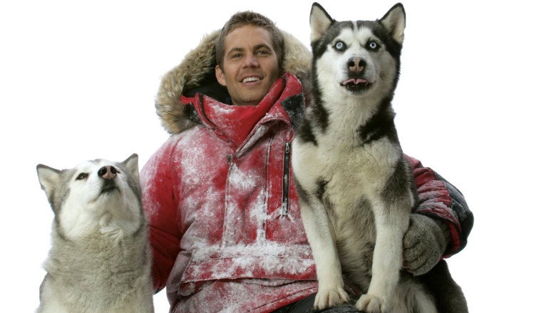 Eight Below still 8