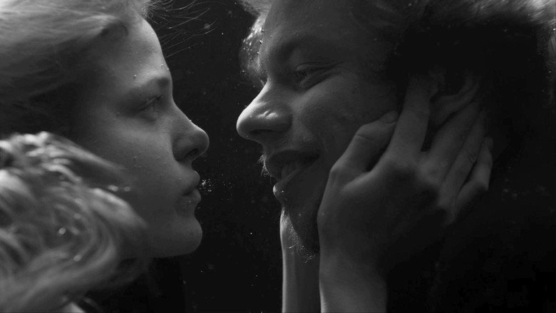 November still 5