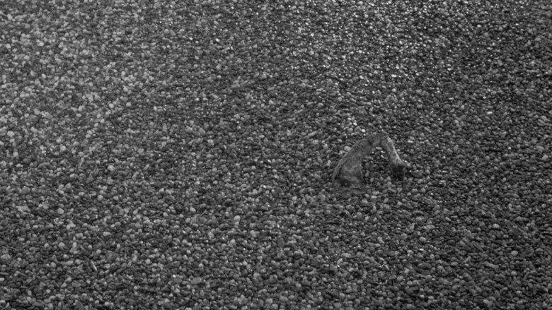 Black Gravel still 6