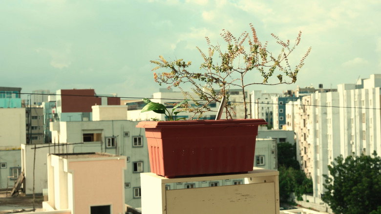 BLOOM still 1