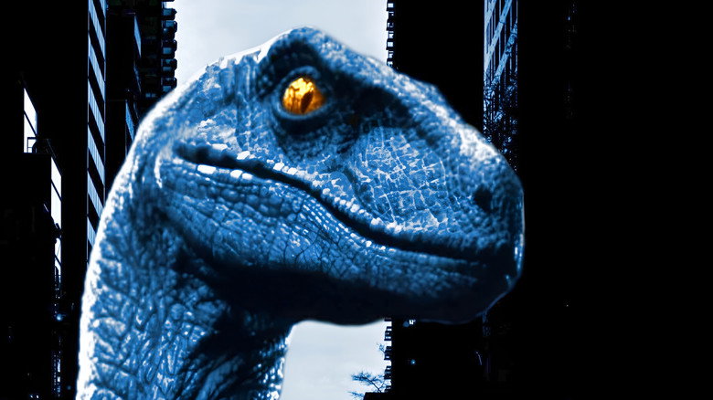 Raptor still 3