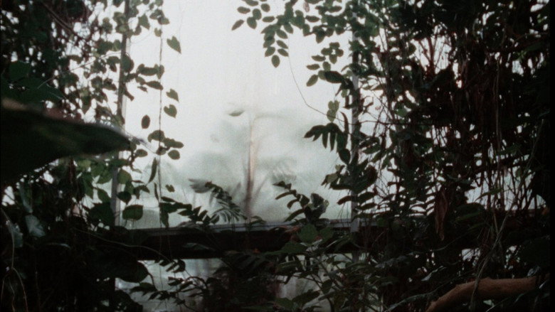 Urth still 4