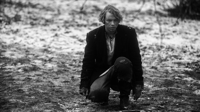 November still 7