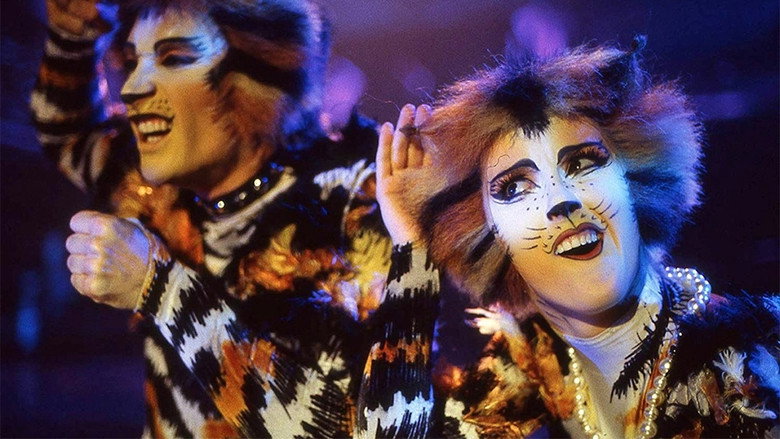 Cats still 8