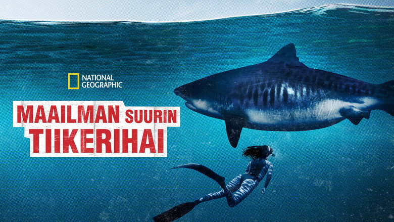 World's Biggest Tiger Shark still 7