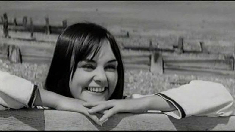 French Dressing still 6