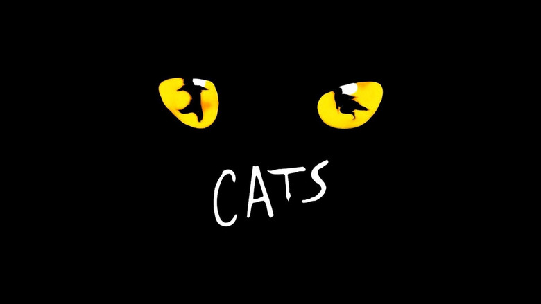 Cats still 5