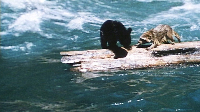 A Tale of Two Critters still 2