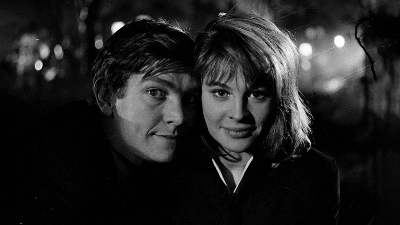 Billy Liar still 3