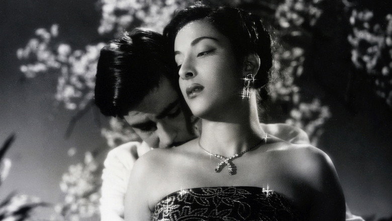Awaara still 2