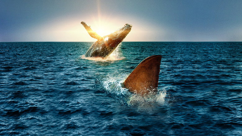 Shark Vs. Whale still 1