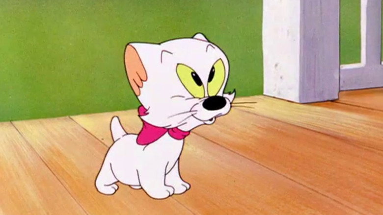 Kiddin' the Kitten still 1