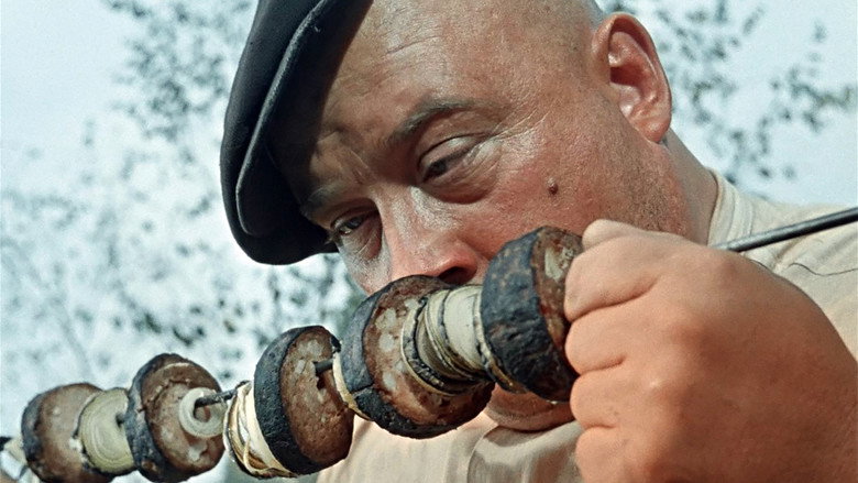 Dog Barbos and Unusual Cross still 7