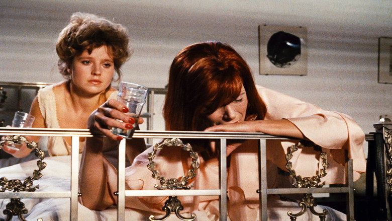 The Bitter Tears of Petra von Kant still 8