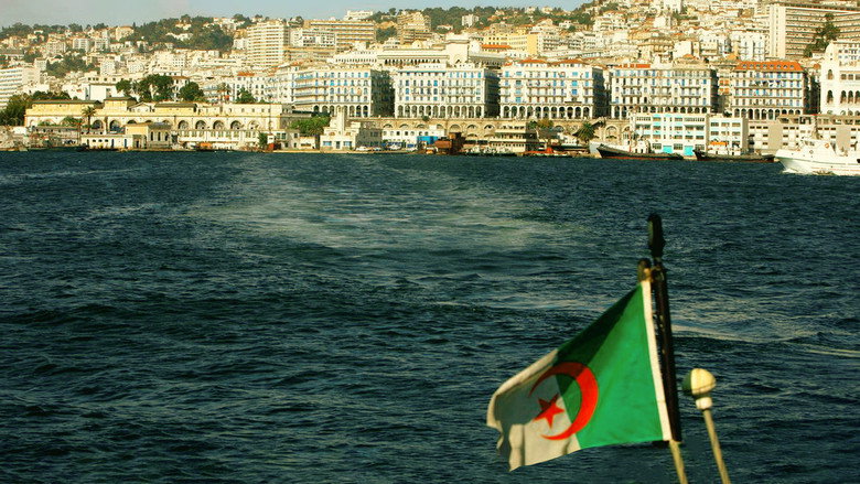 Regards D'en Face - Alger still 2