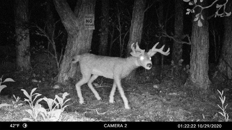 Posted No Hunting still 1