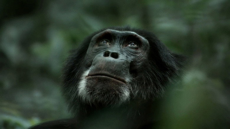 Rise of the Warrior Apes still 3