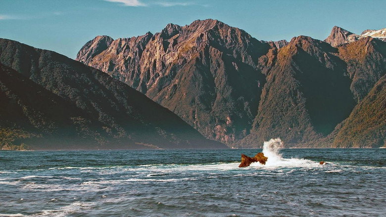 Fascinating New Zealand still 1