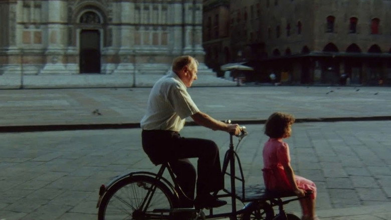 12 Directors for 12 Cities still 1