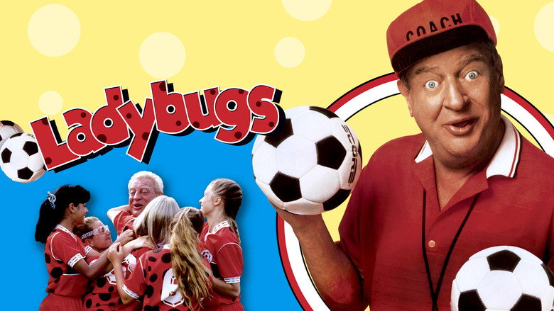 Ladybugs still 1