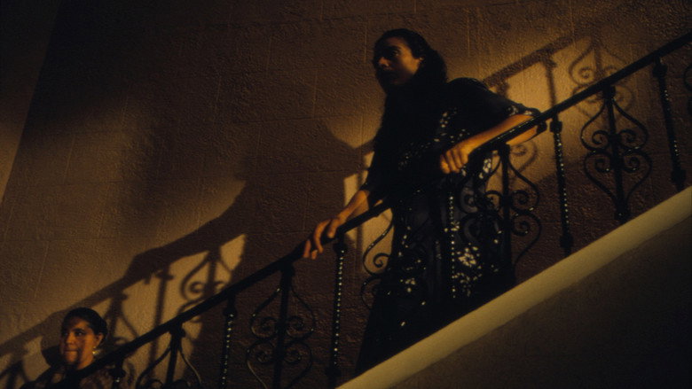 Huapango still 6